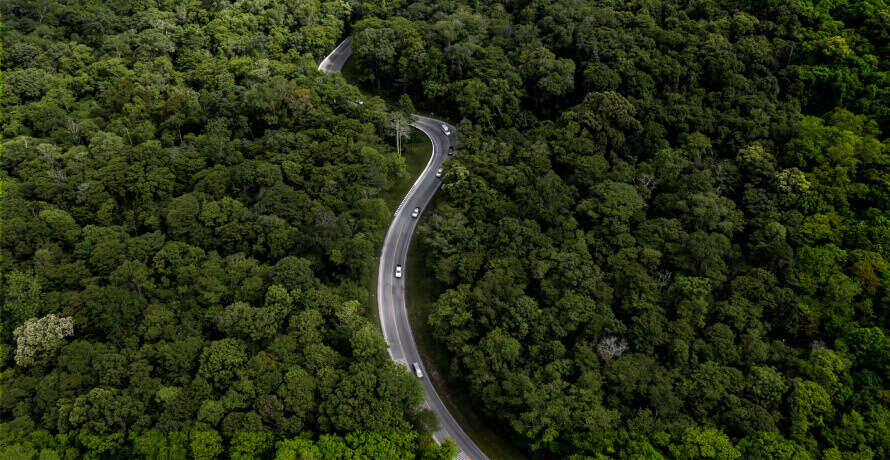 Green leaves forming a tyre shape, symbolizing Bridgestone’s commitment to sustainability and ecology